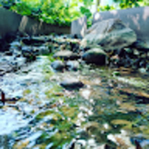 Meet your Posher, Peter